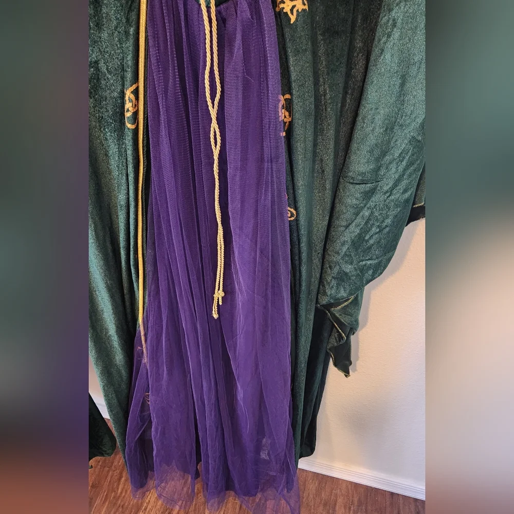 Disney Hocus Pocus Costume  2X Winnie Sanderson - Picture 7 of 12